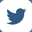Twitter Social Media Link