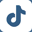 TikTok Social Media Link